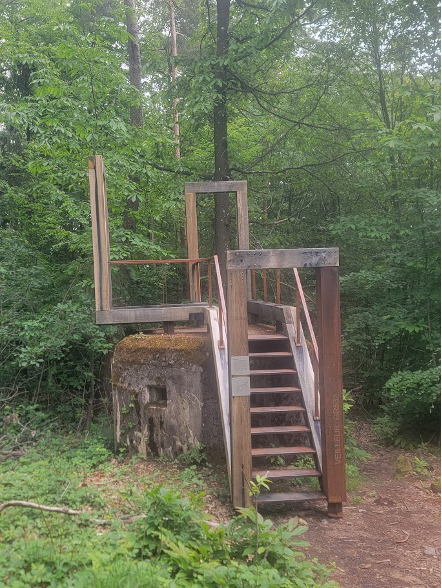 Rando du 28 mai