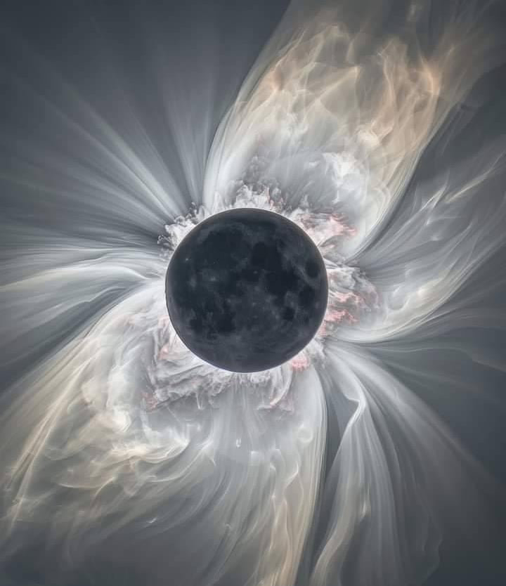 Moon flower artwork