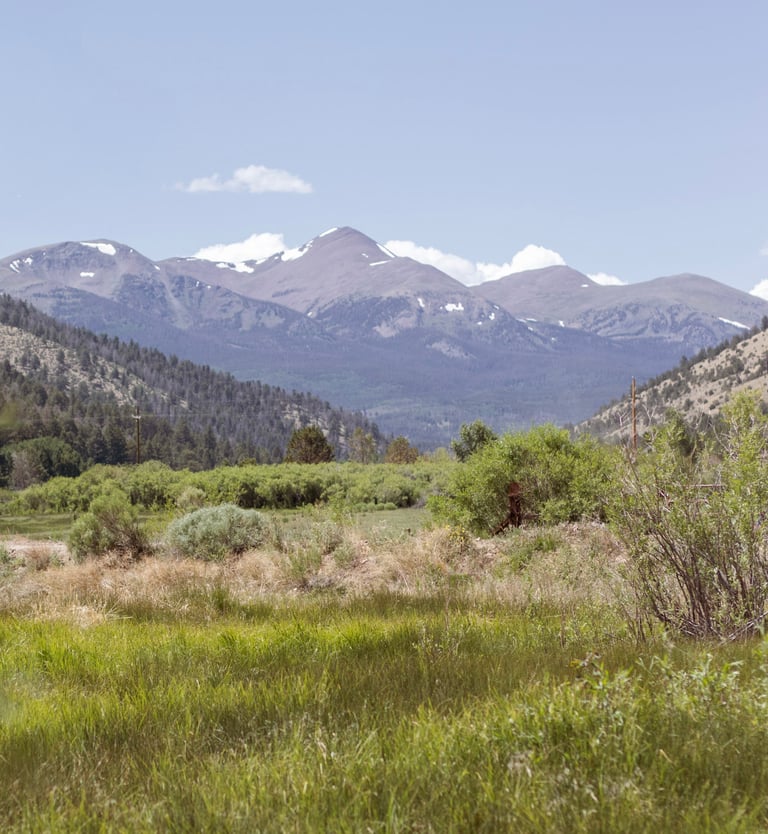grassy fields with mountain in view