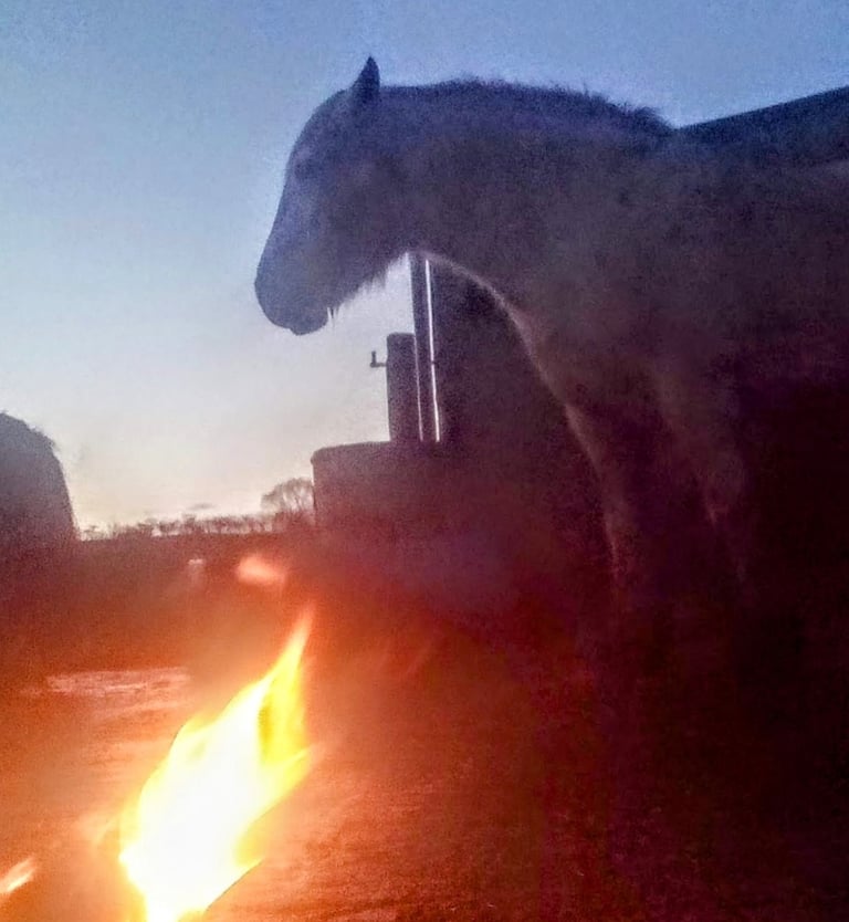 Winter solstice ceremony. Daisy honouring the light