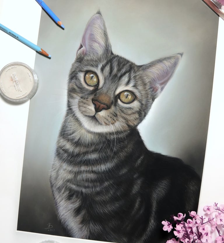 a pastel drawing of a gray cat