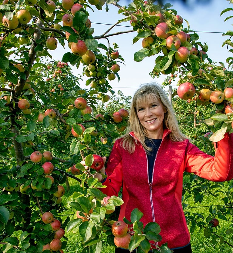 Ille Kasvand 2020 aastal. Aasta Põllumehe kandidaadina enda lõigatud õunapuude juures. F:SvenArbert