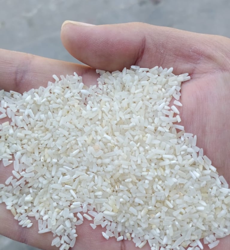 Biigest Broken Rice Exporters Of Pakistan