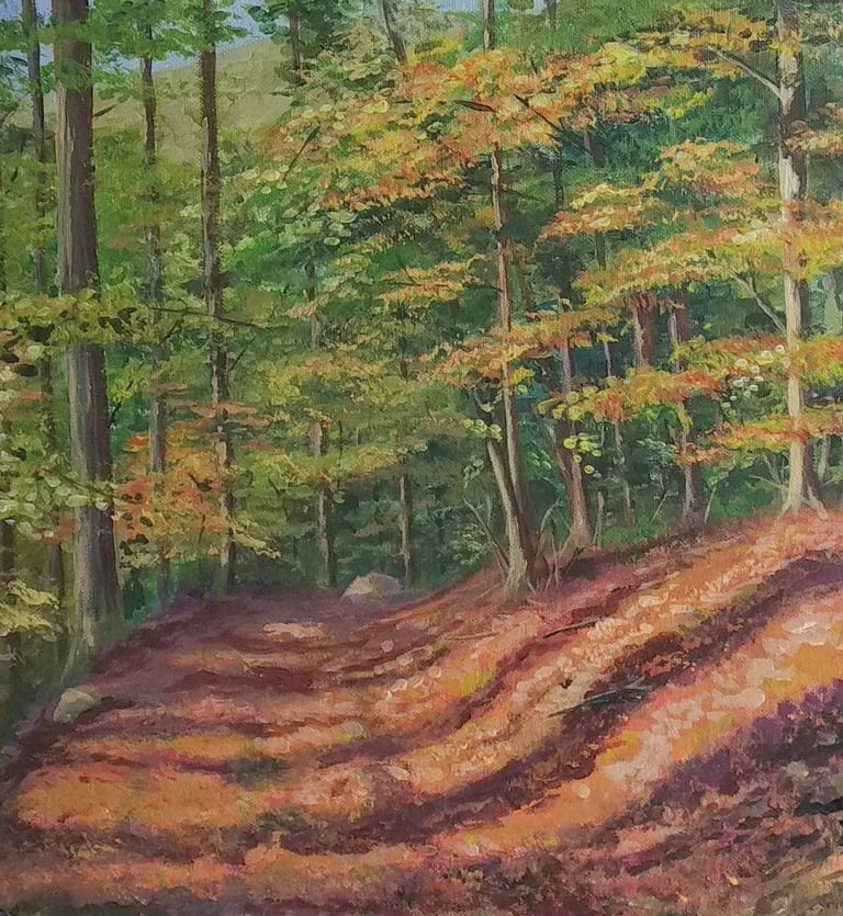 Vallombrosa - acrilico 30x40cm