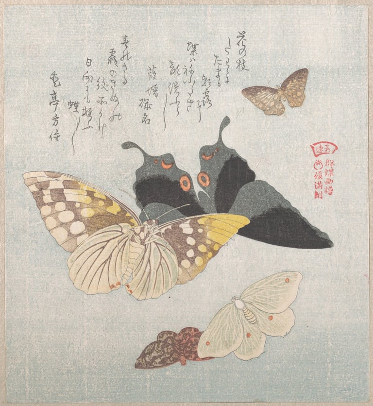 Japanese poetry, moths, and butterflies printed on a light blue background