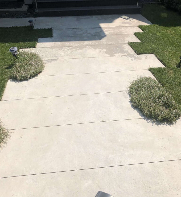 Clean Lawn