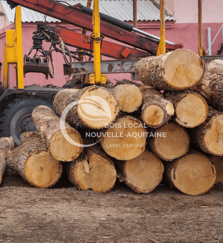 une grue qui déplace des tas de bois