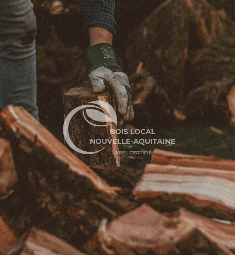 un bucheron qui coupe du bois