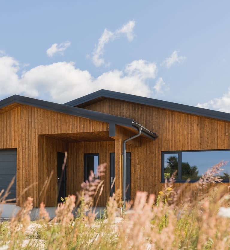 skydinis- karkasinis namas