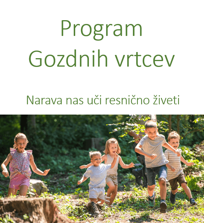 Program gozdnih vrtcev