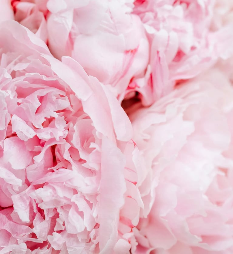 luxury web design for wedding professionals