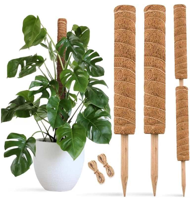 Stackable coco coir moss pole designed for supporting climbing houseplants as they grow taller.