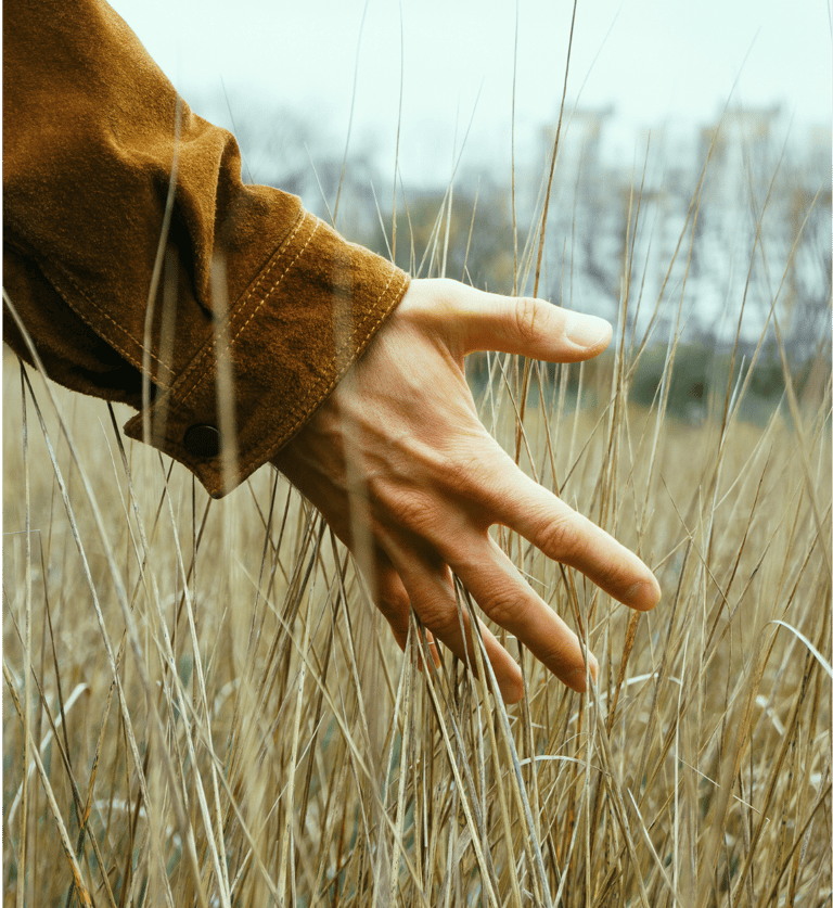 Persona tocando con las puntas de los dedos las plantas mientras camina