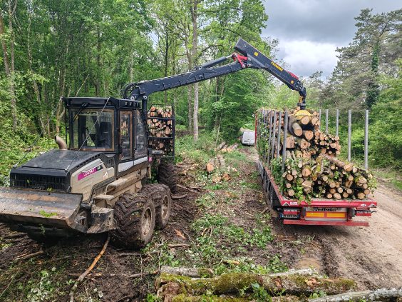 exploitant forestier