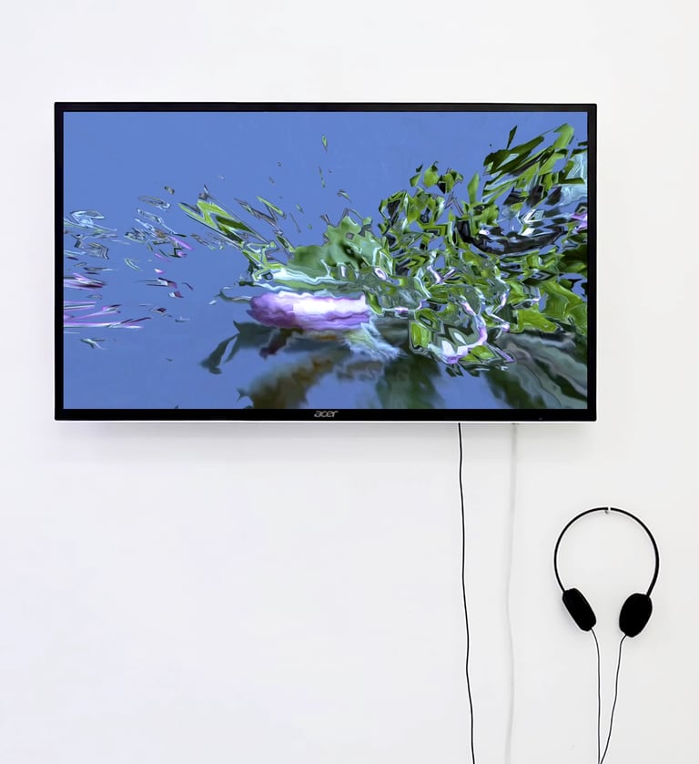 digital art, video installation,  joanna wlaszyn