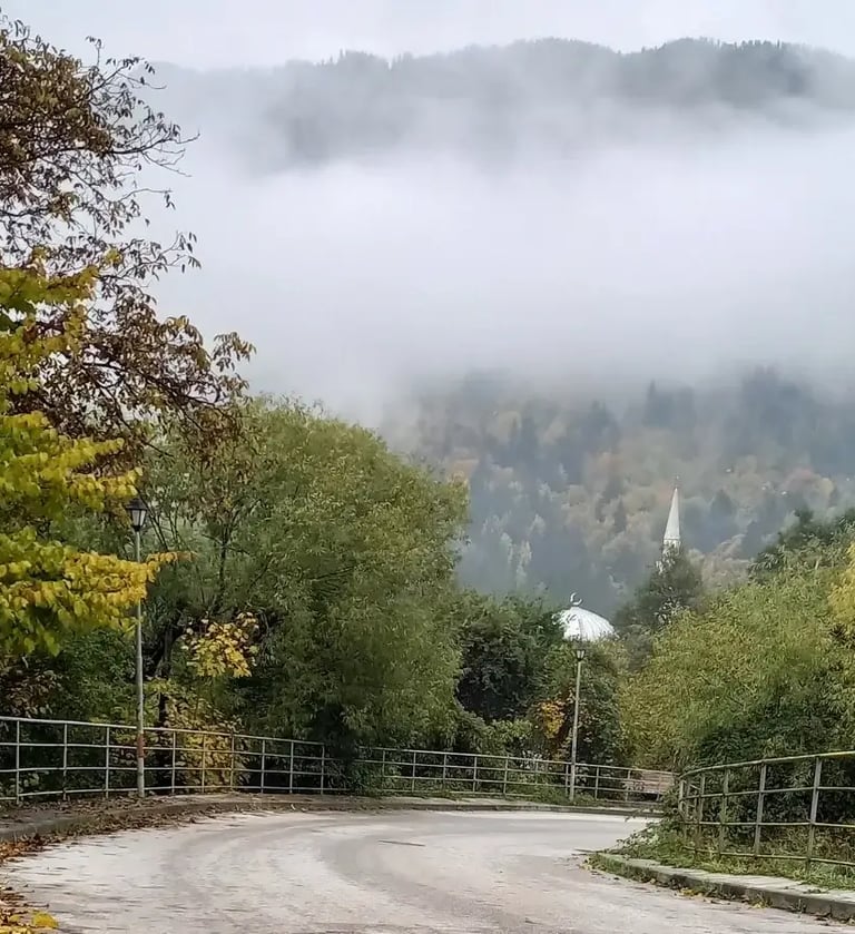 a road with a fenced-in area with trees a metaphor for a new journey to a better health
