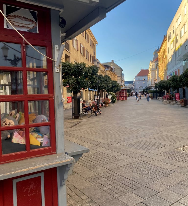 gyor-hongrie-baross-gabor-ut-voyage-travel-planner