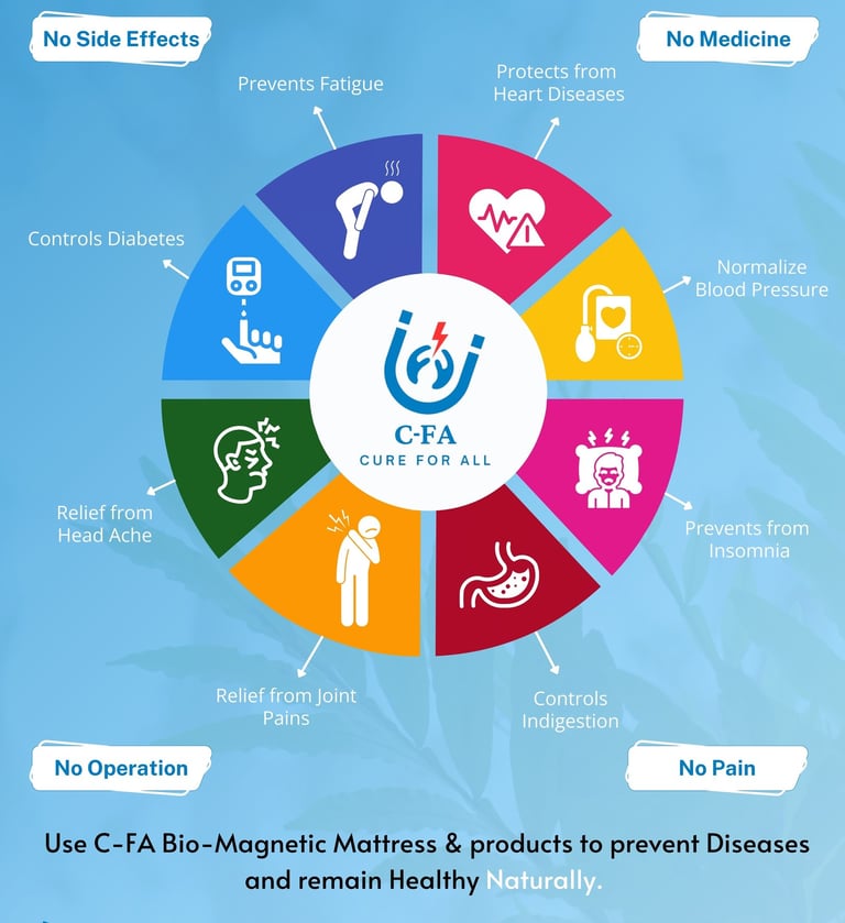 bio magnetic matress and its benifits in a wheel shaped picture