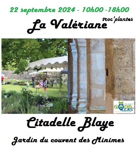 La Valériane - Citadlle BLaye Septembre 2024 Troc Plantes