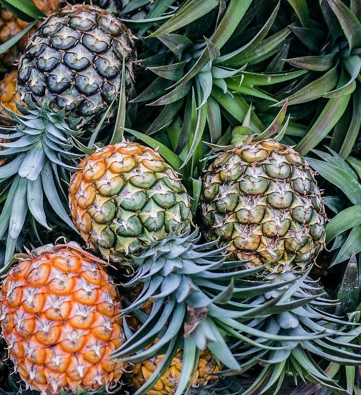 pineapple