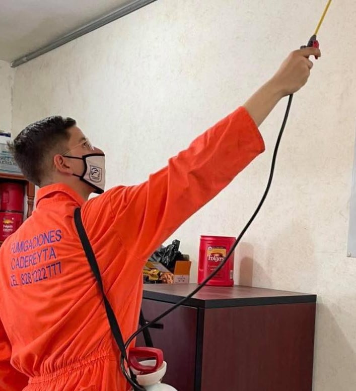 Fumigacion en fumigaciones cadereyta