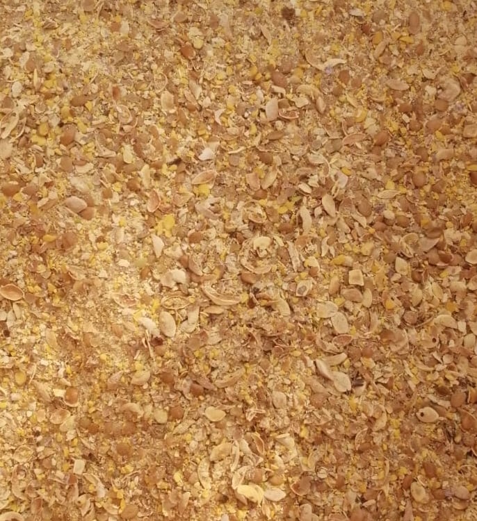 Harina de semilla extruida de mezquite