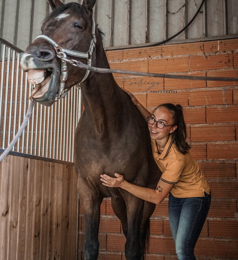 massage cheval bien-être
