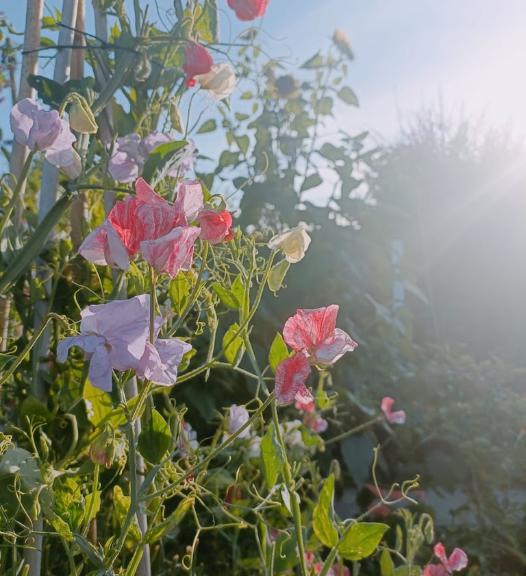 Outside The Eden Holistic Health Studio, in Bury, please get in touch using our contact form.