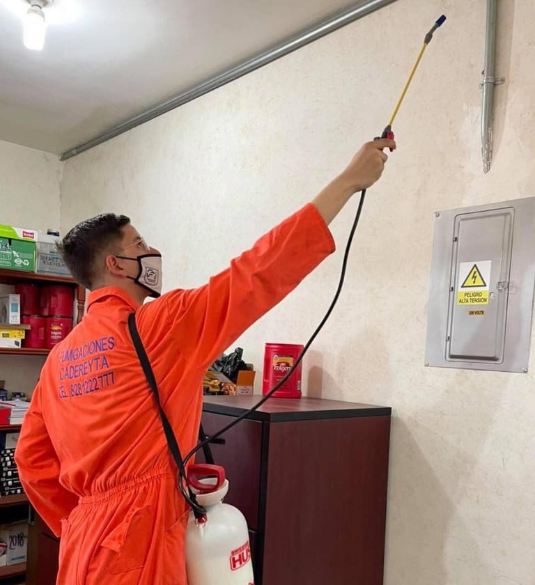 Fumigacion en empresa de trabajo en cadereyta jiménez