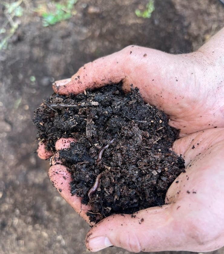 garden compost and worm castings 