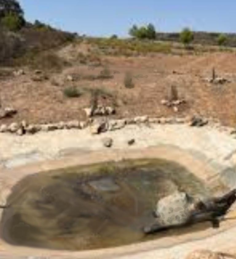 El charco, pequeño abrevadero en el paraje de El Charco Carrascoy