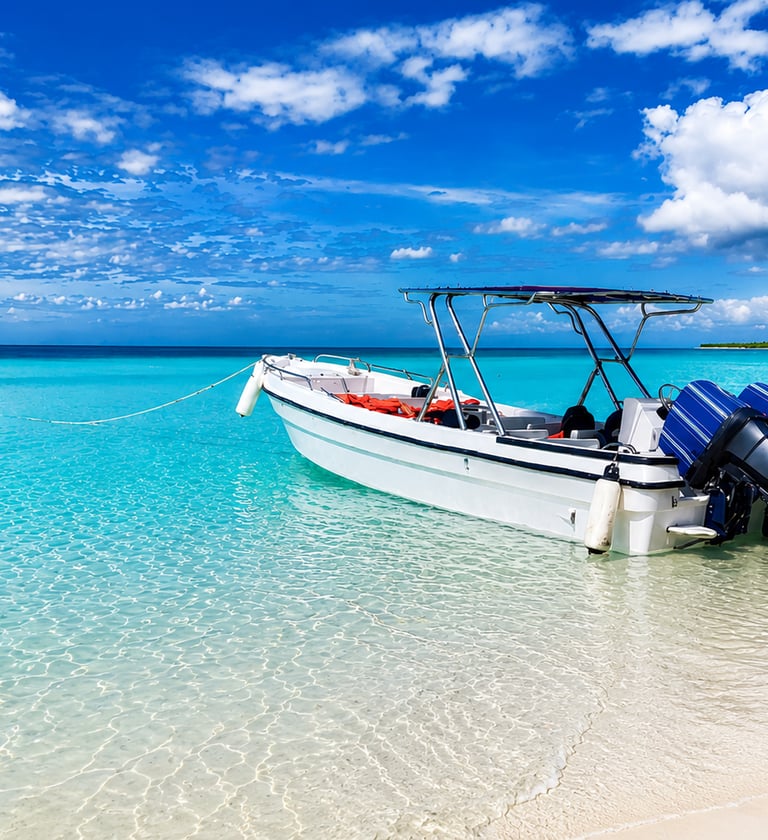 Speedboat Saona Island