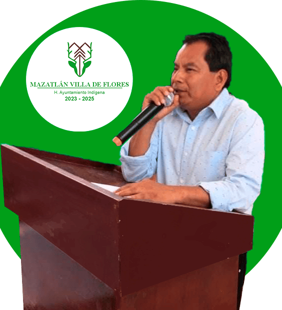 Presidente Municipal Mazatlán Villa de Flores