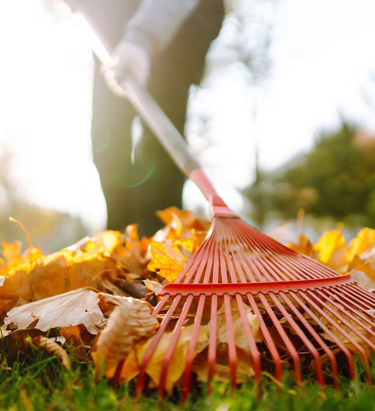 Cleaning for every season