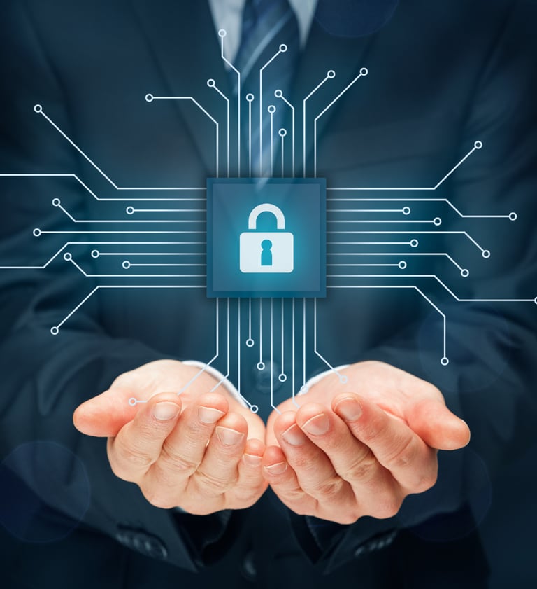 Datos seguros en línea con la asesoría de Datlia