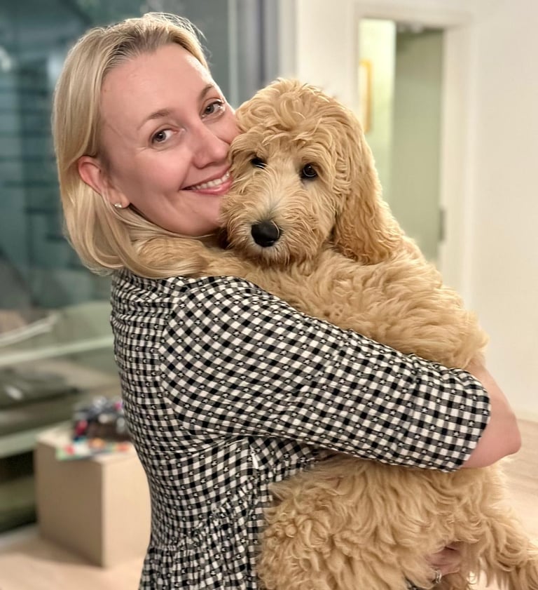 un golden doodle cucciolo in italia