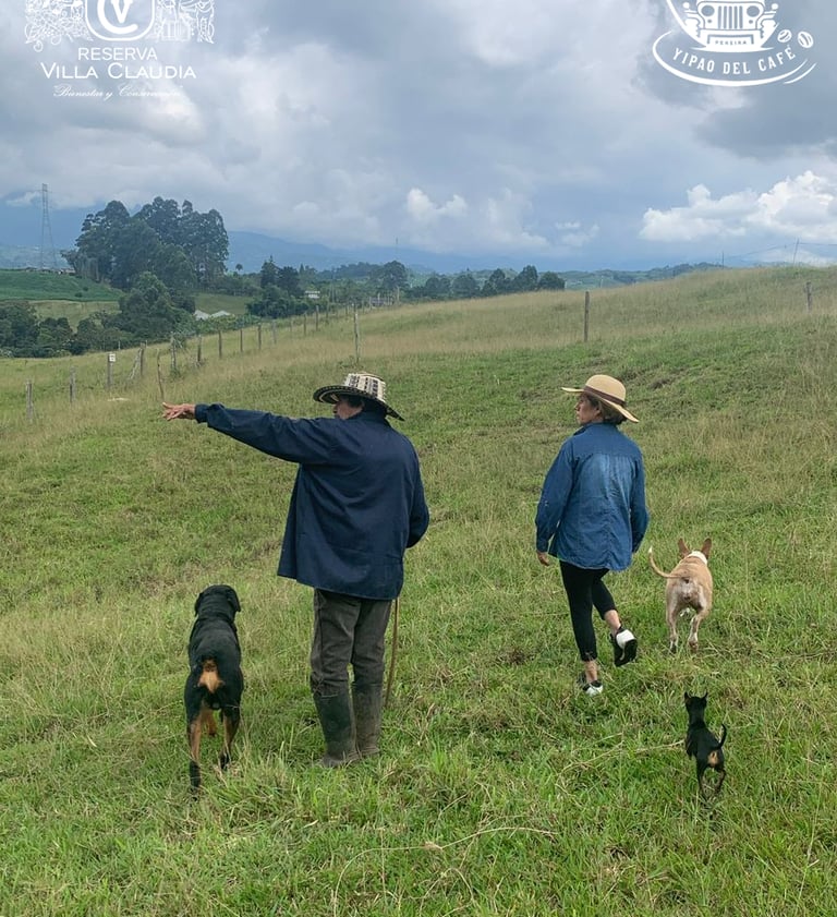 recorridos turísticos en pereira