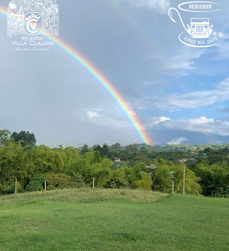 sitios para visitar en pereira