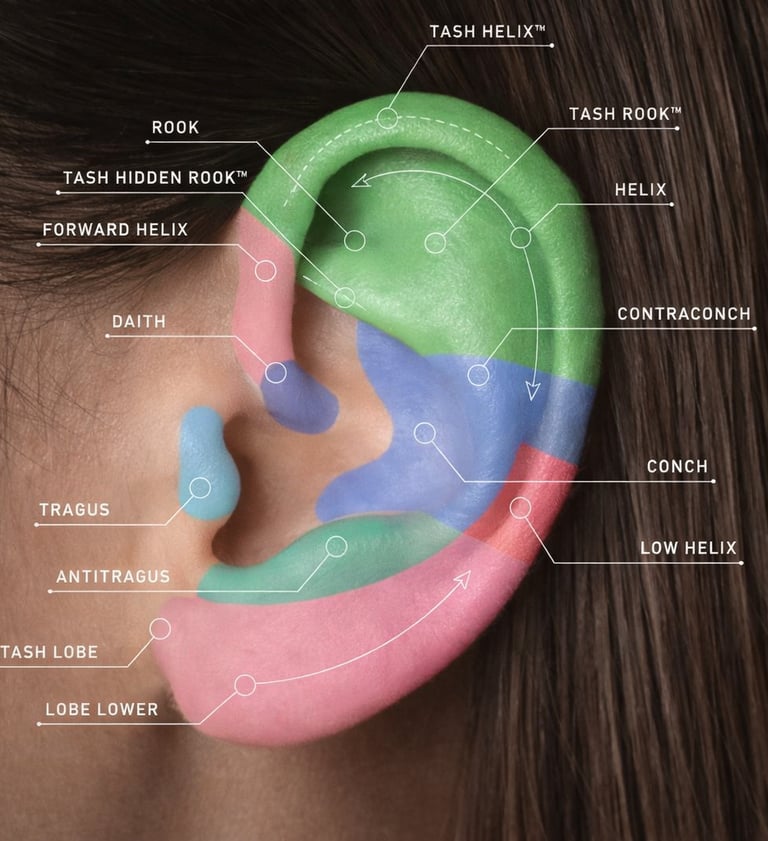 תרשים מקצועי של מיקומי פירסינג באוזן, כולל הליקס, טראגוס, קונץ' ותנוך