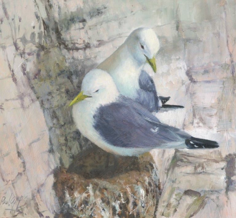 Oil study of two Kittiwakes perched on Bempton Cliffs UK