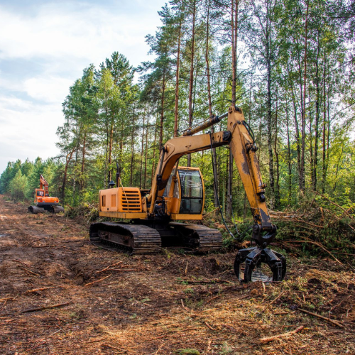 bindewald maintenance land clearing in Mississippi 