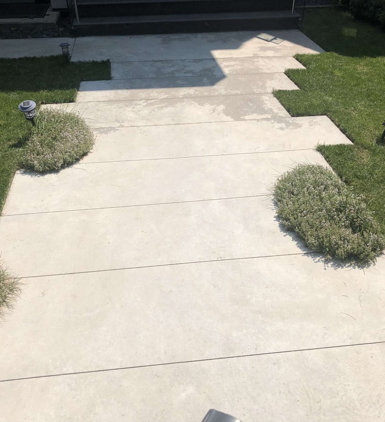 Clean Lawn
