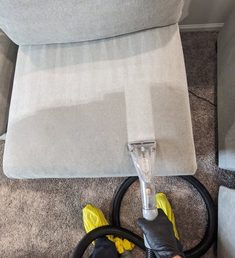 Professional upholstery cleaning technician cleaning a sofa in Olympia, WA