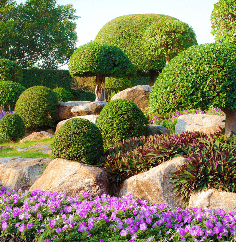 Landscaping services oklahoma by matias landscaping