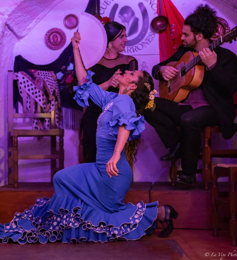 Cueva flamenco Granada
