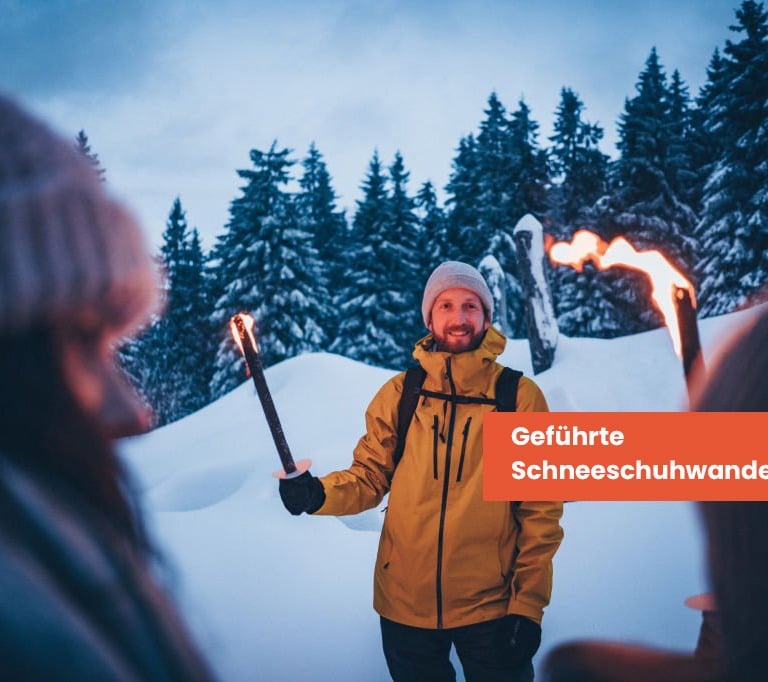 geführte schneescuhwanderung