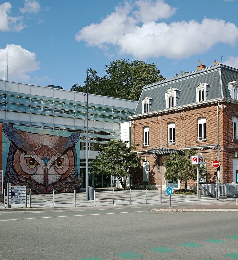 Vue de Lomme avec la mairie et le street art illustrant le quartier où DIXI Diagnostics réalise vos