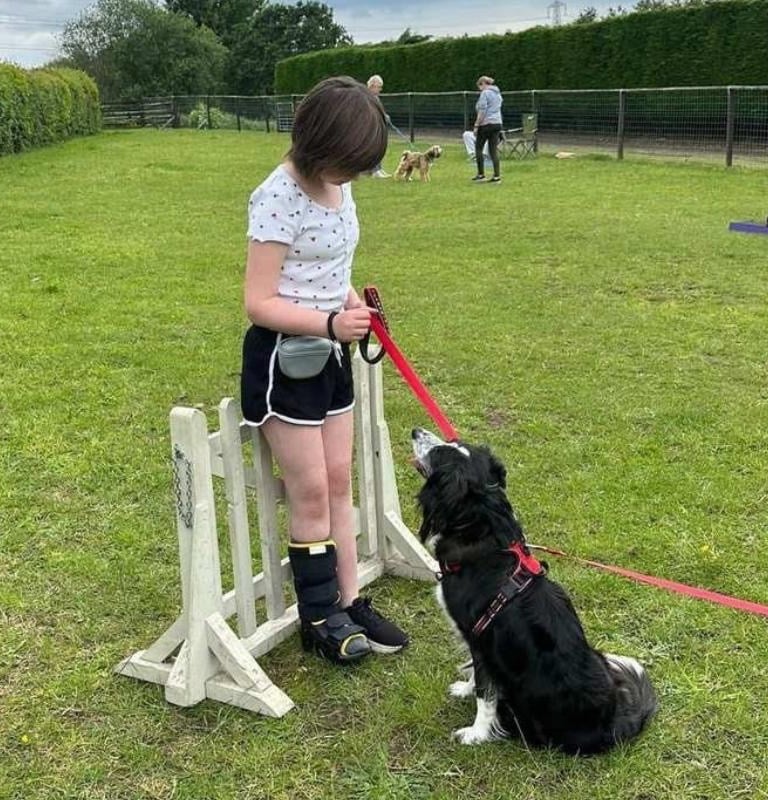 A young girl training a black and white Border Collie at an outdoor dog agility course.