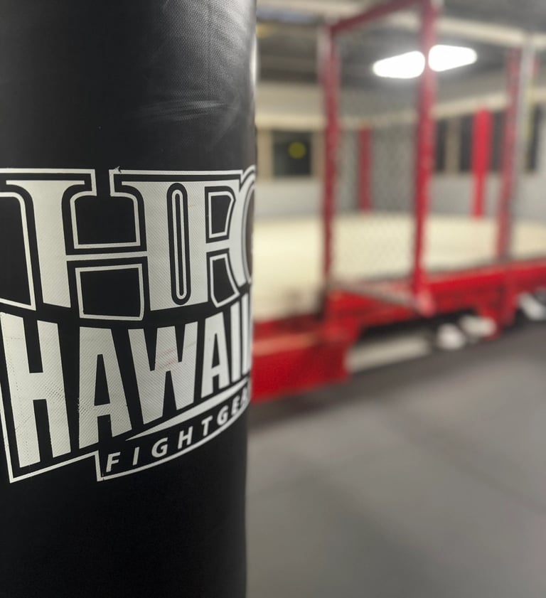 martial arts classes in kona, hawaii