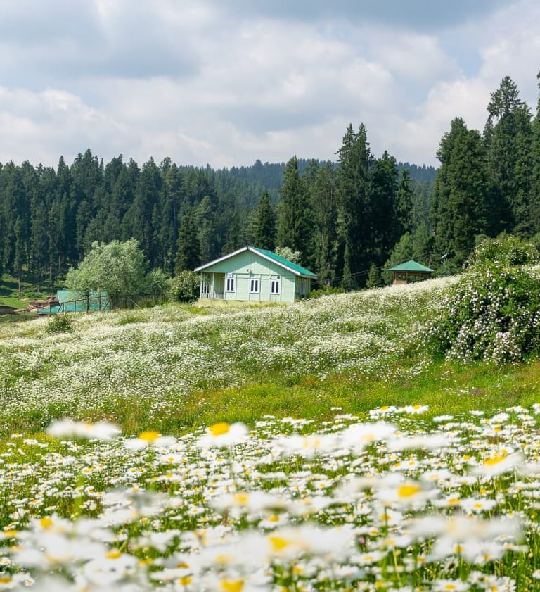 Yousmrg   Kashmir | Connect Kashmir